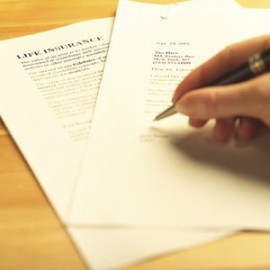 На что обратить внимание при изучении садикного договора?., сайт: http://ds-lukomore19.ru/