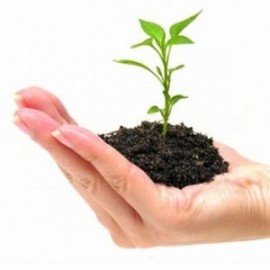 inves 270x270., фото Инвестиции в Болгарию., сайт: http://ds-lukomore19.ru/